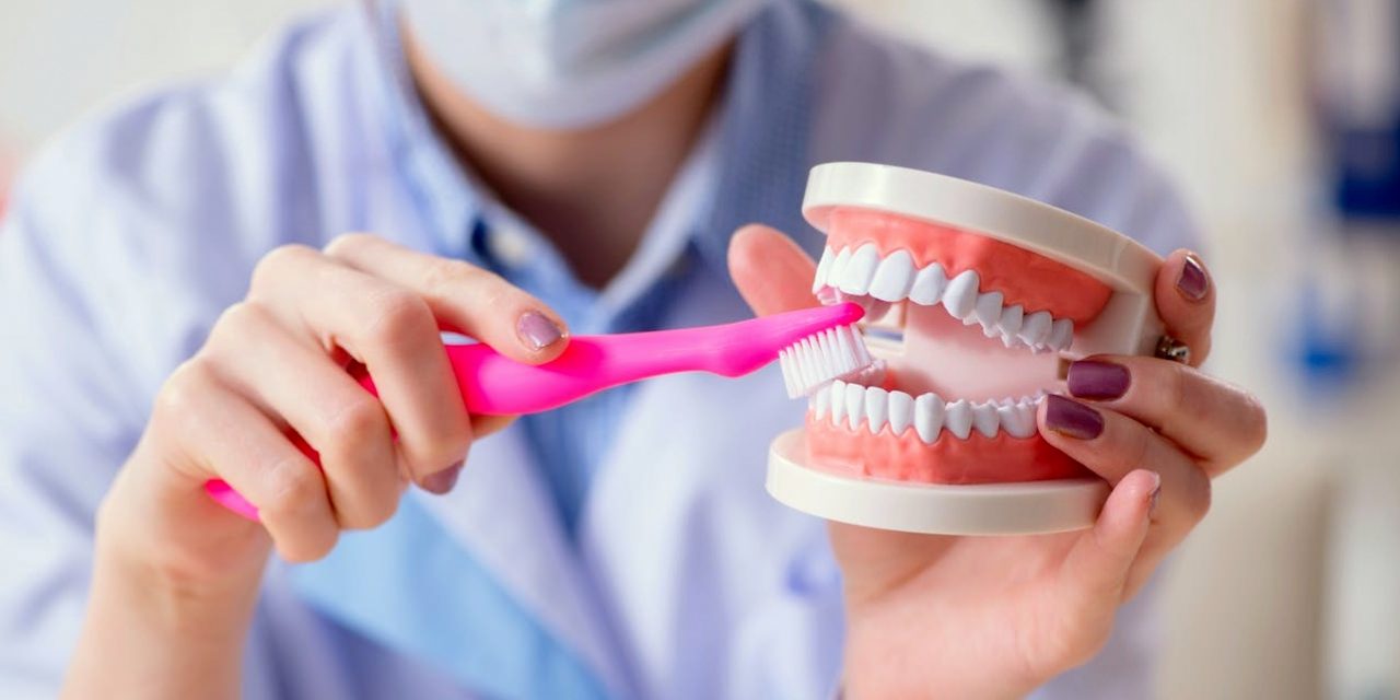 https://clone.qualitydentalcare.com.au/wp-content/uploads/2021/12/Dental-clinic-in-brighton-6-1280x640.jpg